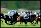 Discover Horse racing for two