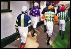 Newmarket Horseracing Experience